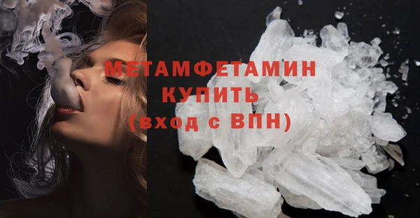 прущие грибы Осинники